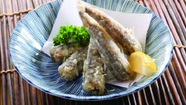 仙台・藤崎百貨店前で「ふくしま常磐大漁市」開催！福島 浜通りの“海の幸”が楽しめる2日間！