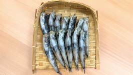 【好評につき第2回開催】福島県・浜通りの海の幸がイトーヨーカドー川崎店・グランツリー武蔵小杉店へ出店いたします!「ふくしま常磐大漁市」